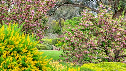 Japanese Garden - Cowra 